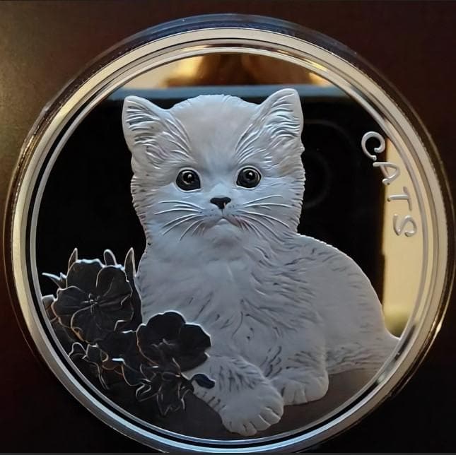 2022年 フィジー カラー版とシルバー版のセット 猫 1オンス銀貨 純銀