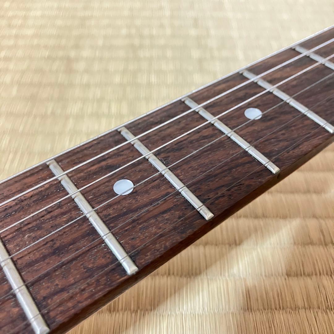 Washburn N1 Nunoモデル