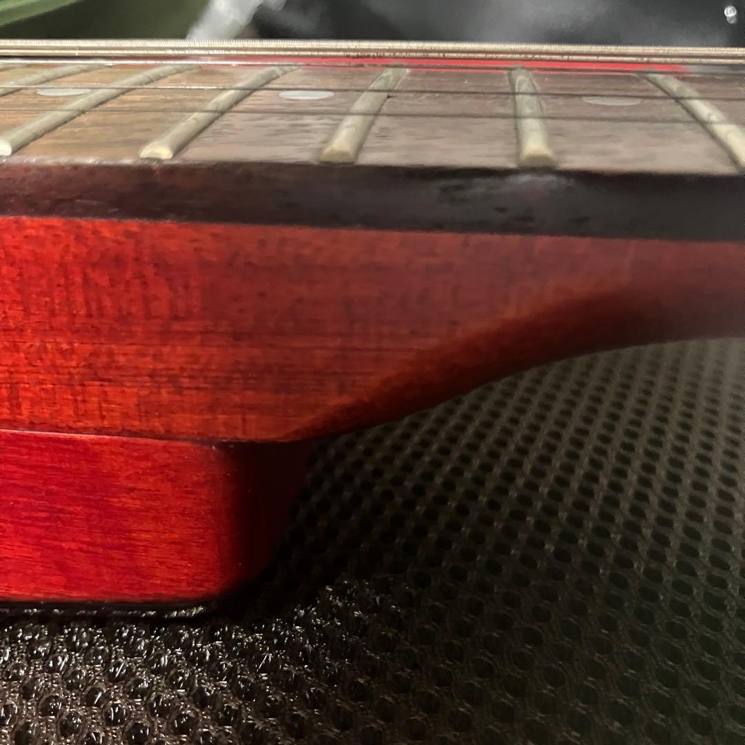 Washburn N1 Nunoモデル