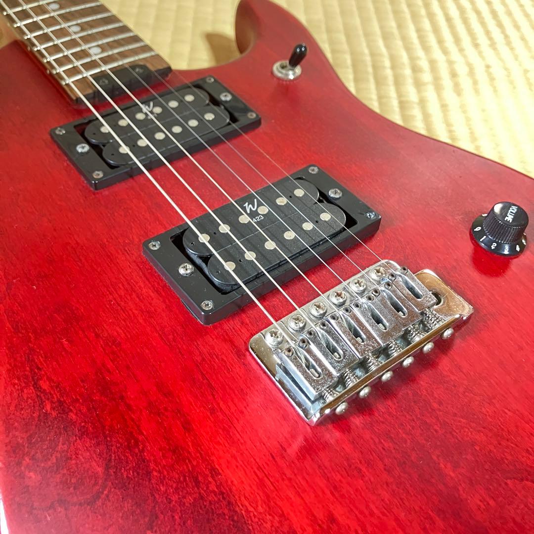 Washburn N1 Nunoモデル