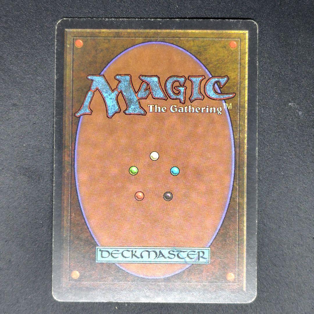 リバイズド Savannah 英語版 状態MP程度 mtg