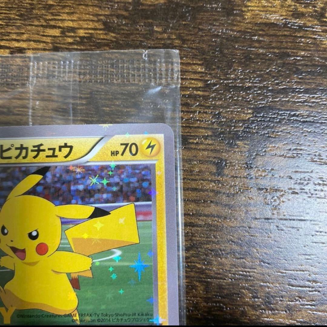 XY-P ピッチのピカチュウ_Jリーグ「ファミリー Joinデイズ」 PROM…