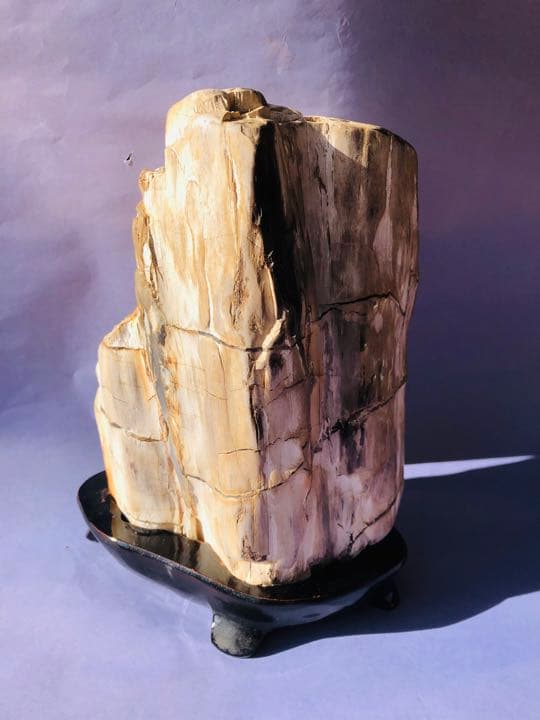 木化石（重さ2120克）珪化木鑑賞石 景石 天然石 台付き 銘