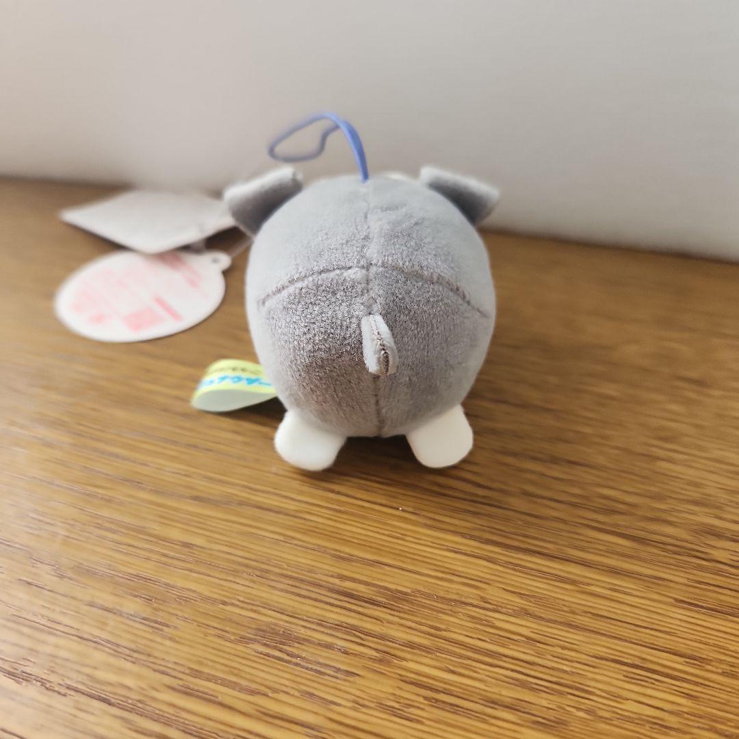 つめる！もちっこシュナウザー VMCセット