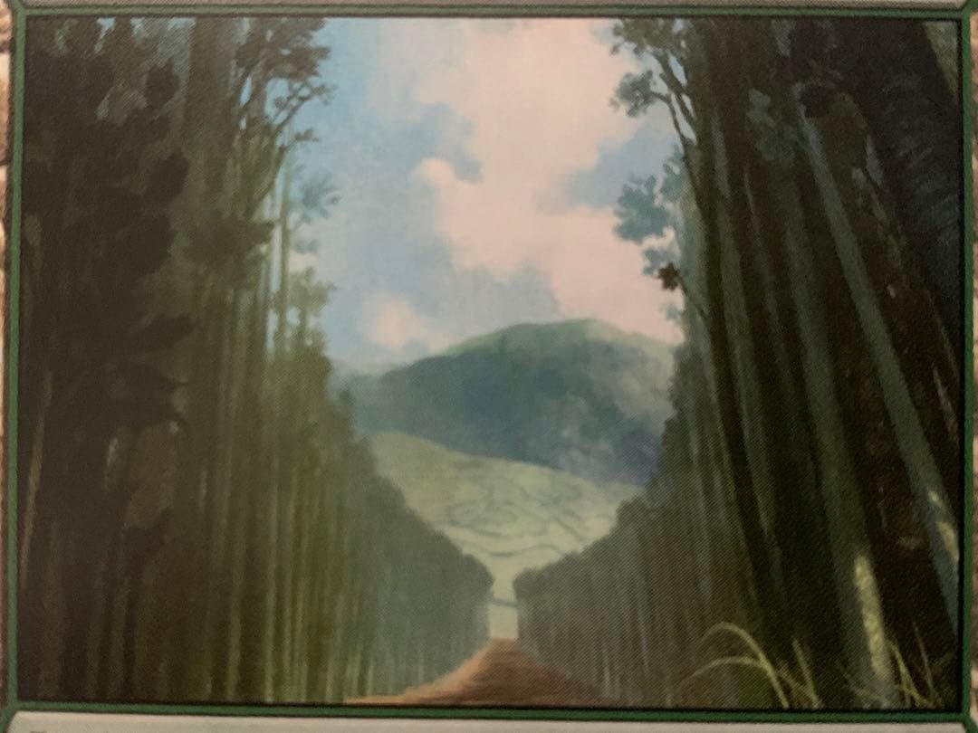 MTG エラーカード　1枚　島　森　メルカリ限定出品