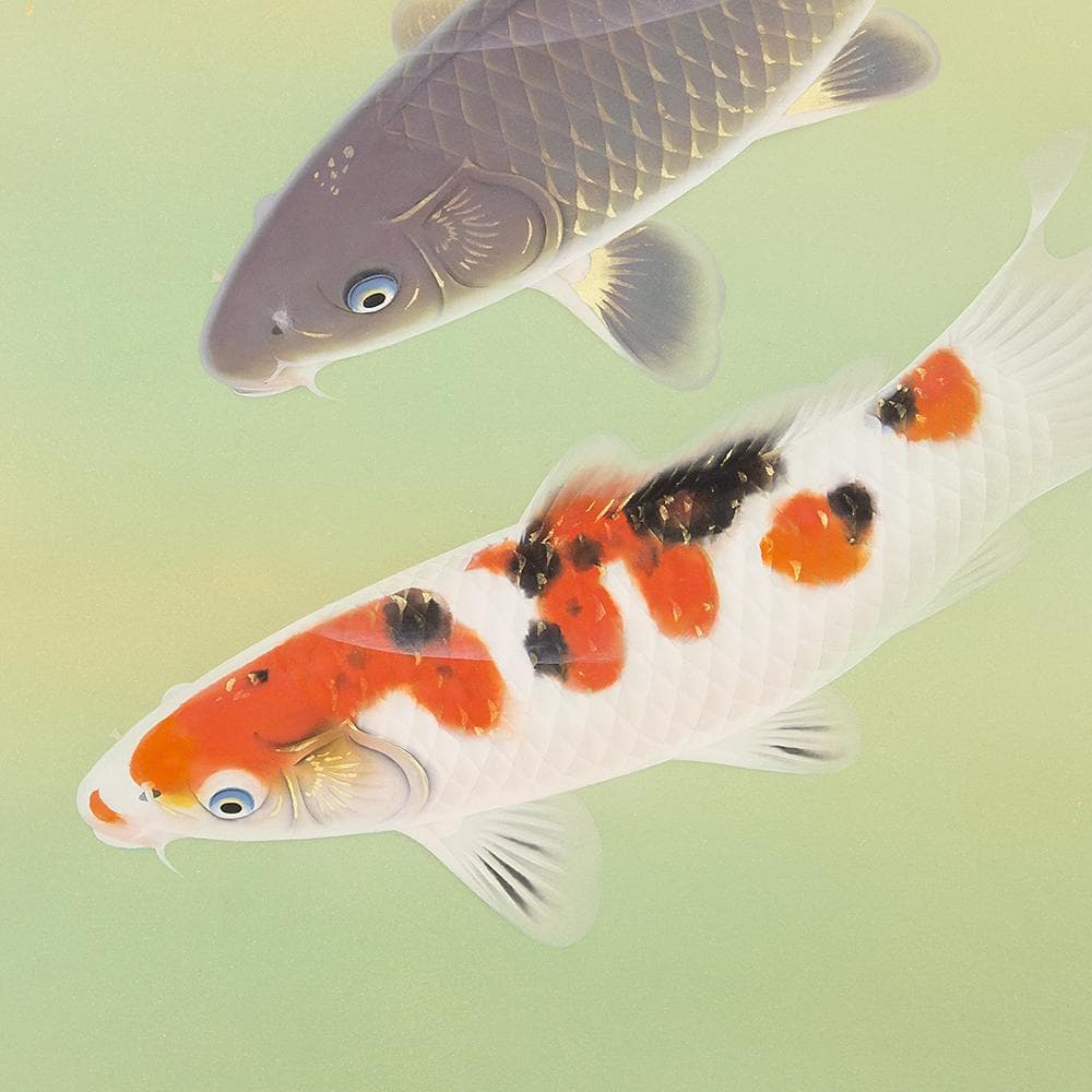 軸 日本画 太田龍一「松鯉」共箱