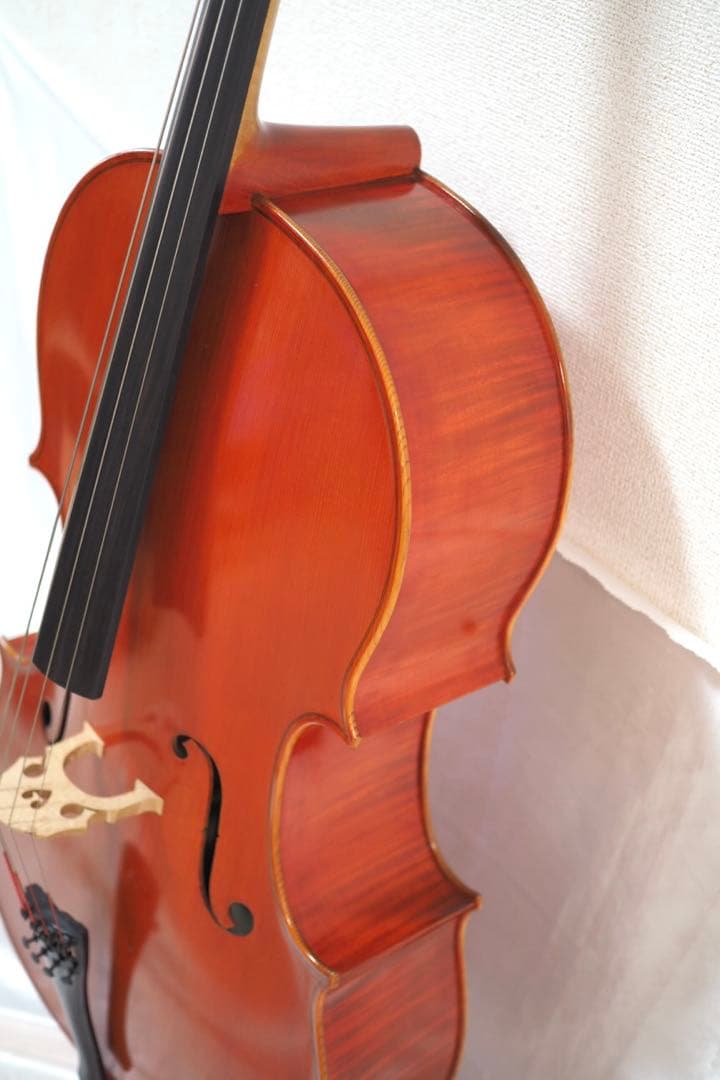 ピグマリウス チェロ 4/4 Pygmalius ST-303 ハードケース