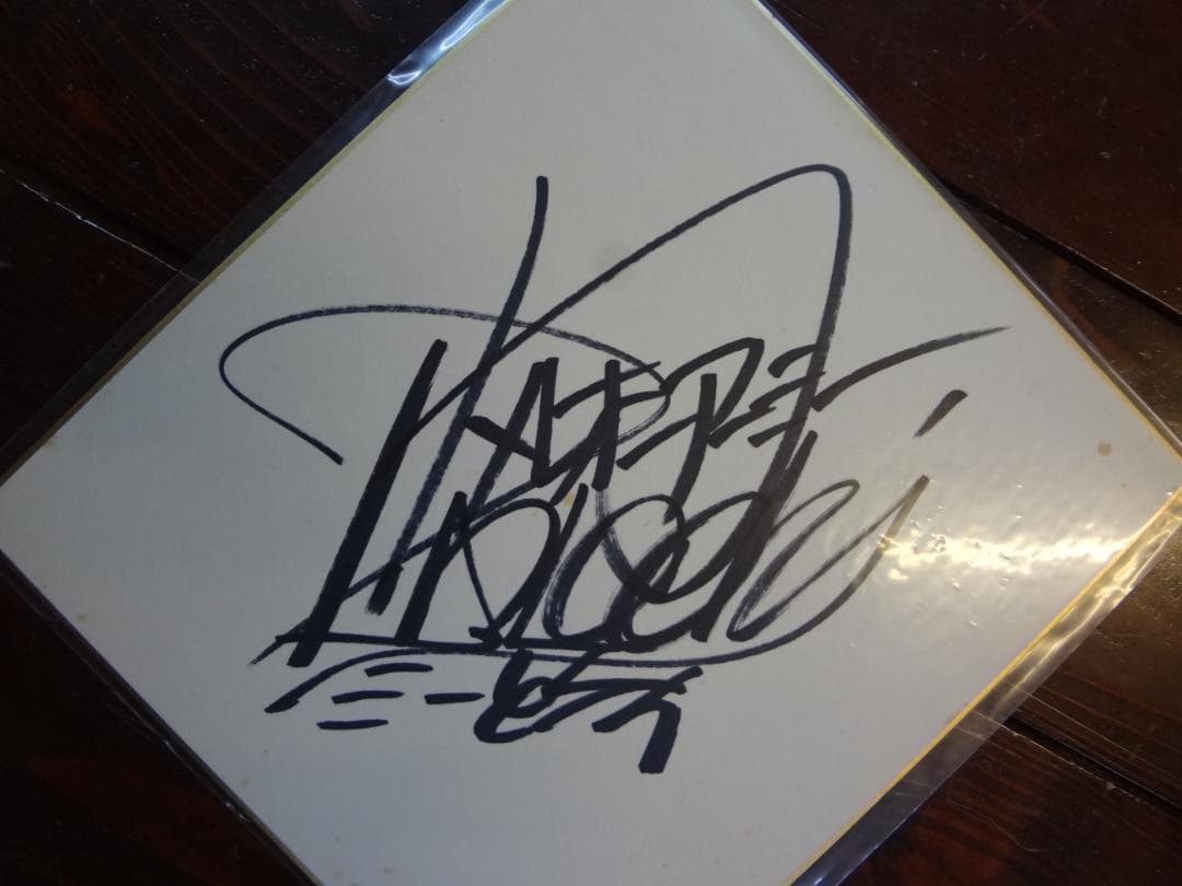 ピンクレディーPink Lady ○直筆サイン色紙○カメレオンアーミー