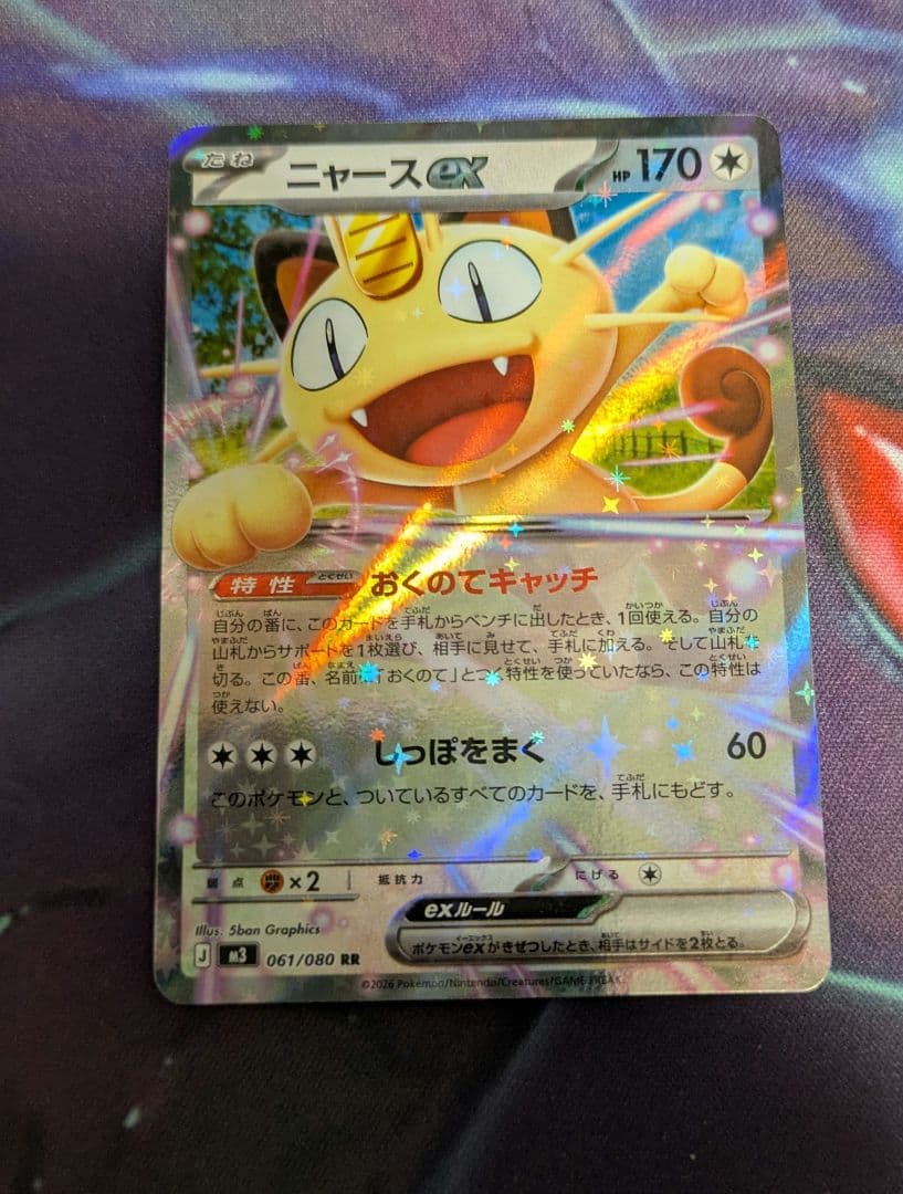 ニャースSAR、RR