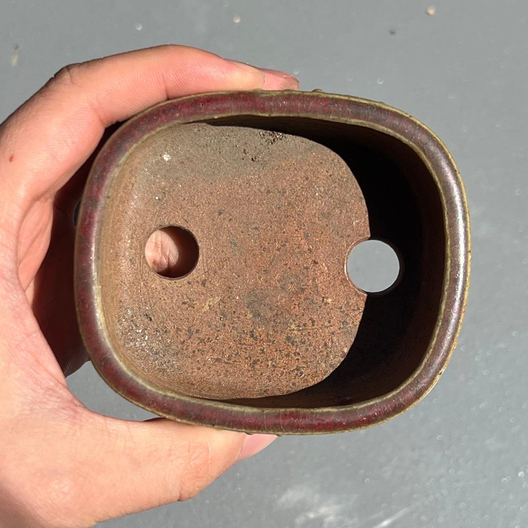 730.平安虹泉 辰砂釉鼓釘抚角長方 盆栽鉢 植木鉢 9.4*8.1*3.6cm