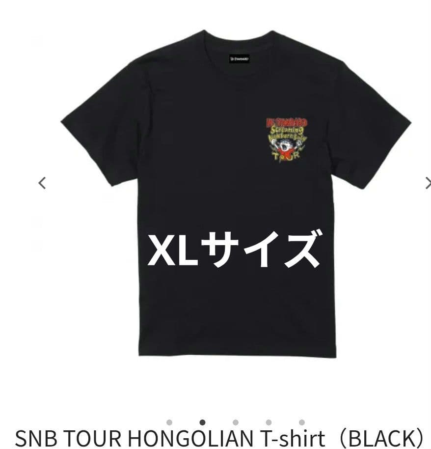 ハイスタンダード SNBツアー Tシャツ ブラック XL ハイスタ - メルカリ