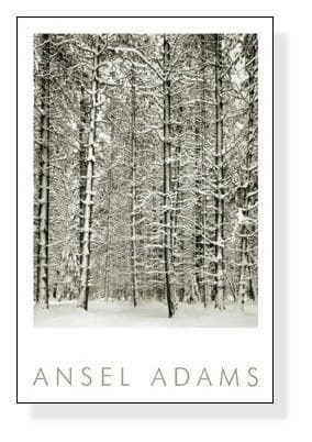 額装品/Pine Forest in /エンボスマーク/アンセルアダムス
