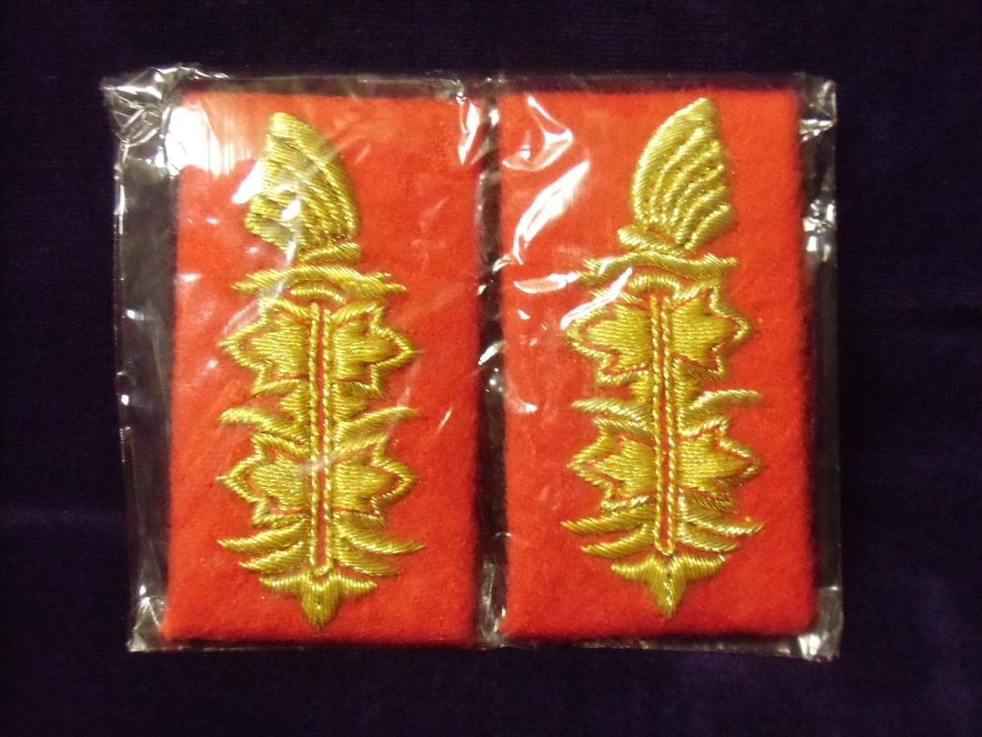 ＢＷドイツ軍/連邦軍＊陸軍/空軍将官襟章（実物）