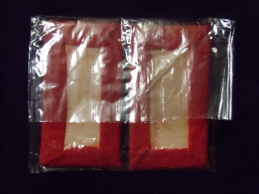 ＢＷドイツ軍/連邦軍＊陸軍/空軍将官襟章（実物）