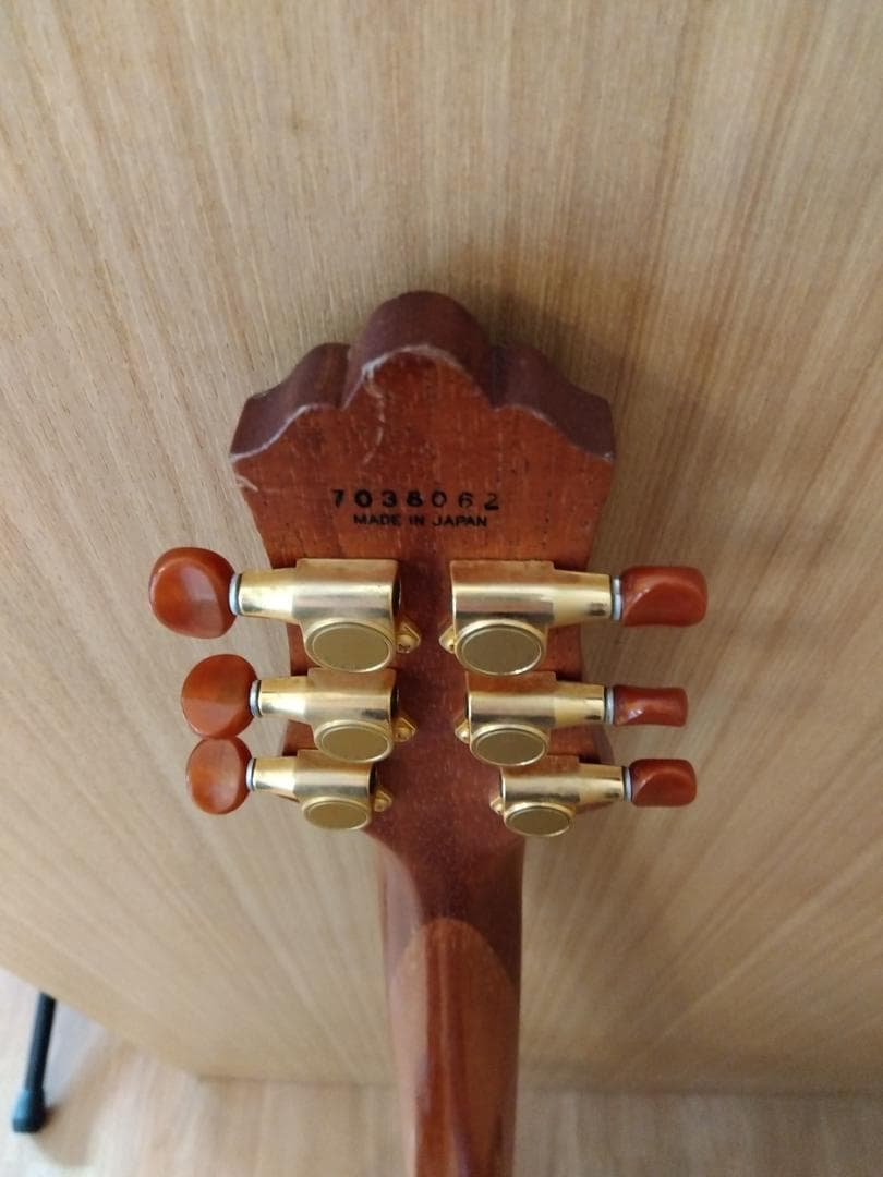 FUJIGEN フジゲン F&C Anboy AF-55C Ashfield - メルカリ