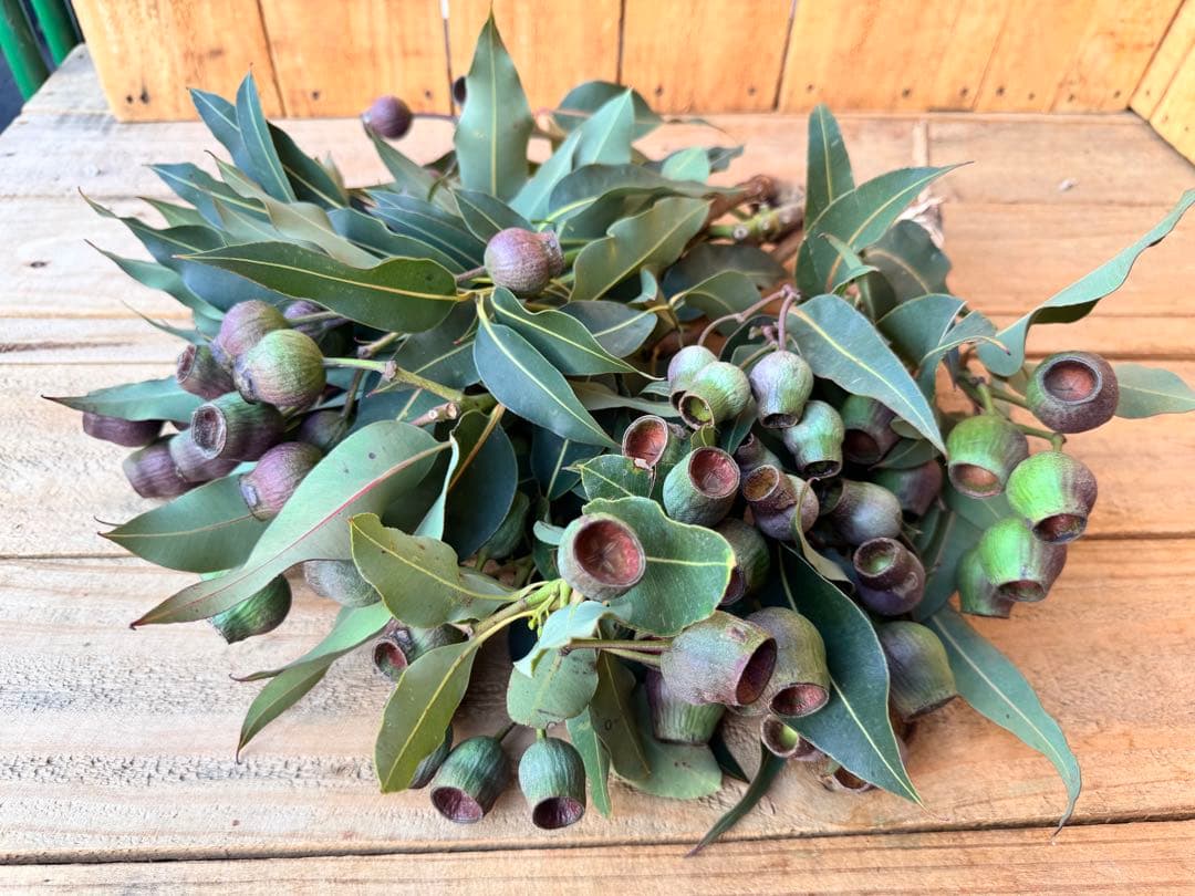 aya様 リクエスト 3点 まとめ商品