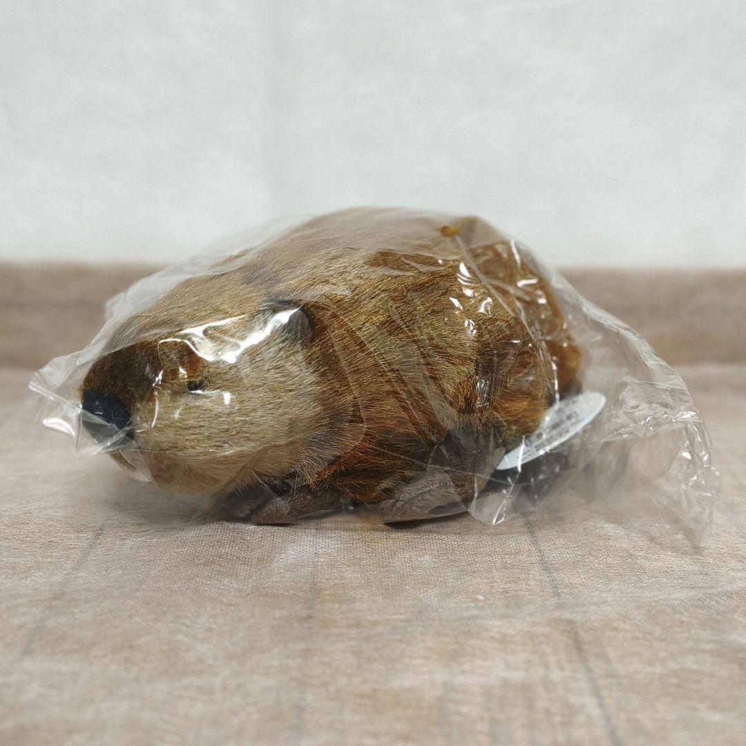 SUPER BEAVER スーパービーバーちゃん 吉徳 ぬいぐるみ - メルカリ