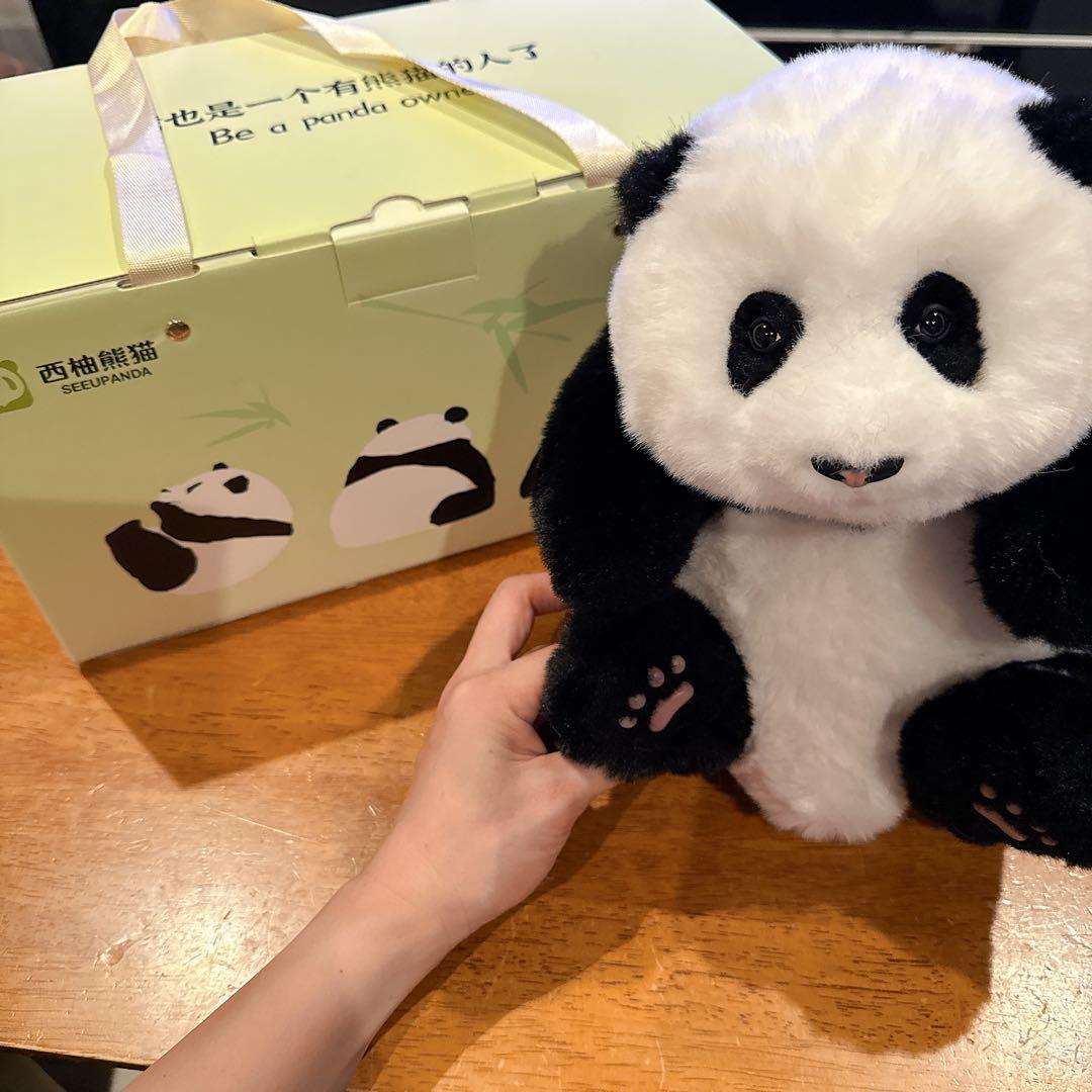 ⭐️ パンダ ぬいぐるみ パンダギフト パンダぬいぐるみ かわいい ギフト