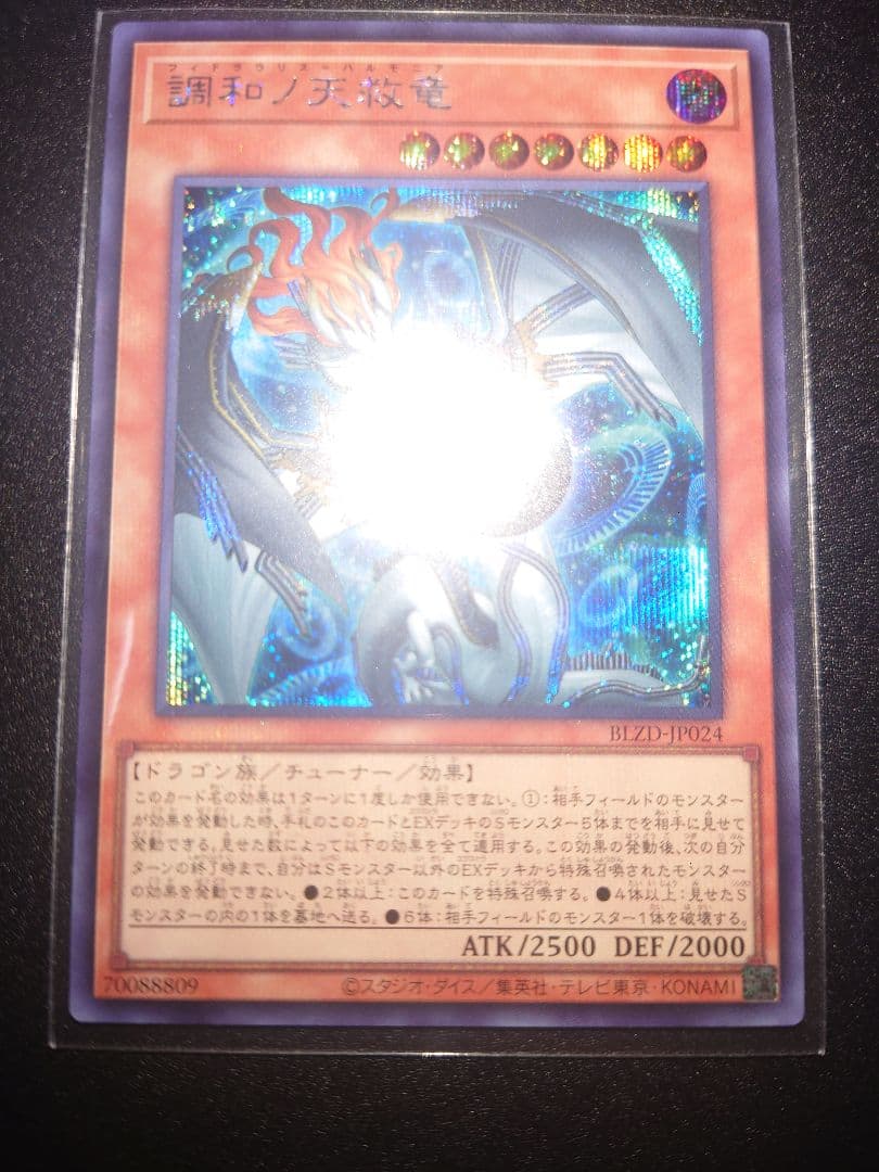 遊戯王 調和ノ天救竜 ハルモニア レリーフ シークレット 2枚セット