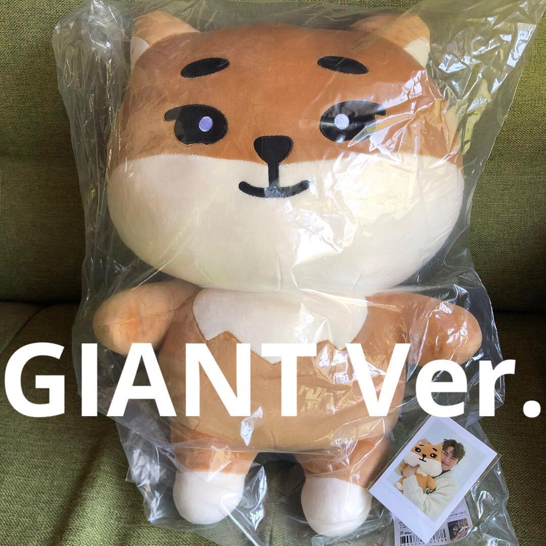 day6 denimalz ぬいぐるみジャイアントver. トレカKE ヨンケイ day6 denimalz ぬいぐるみジャイアントver. トレカKE ヨンケイ