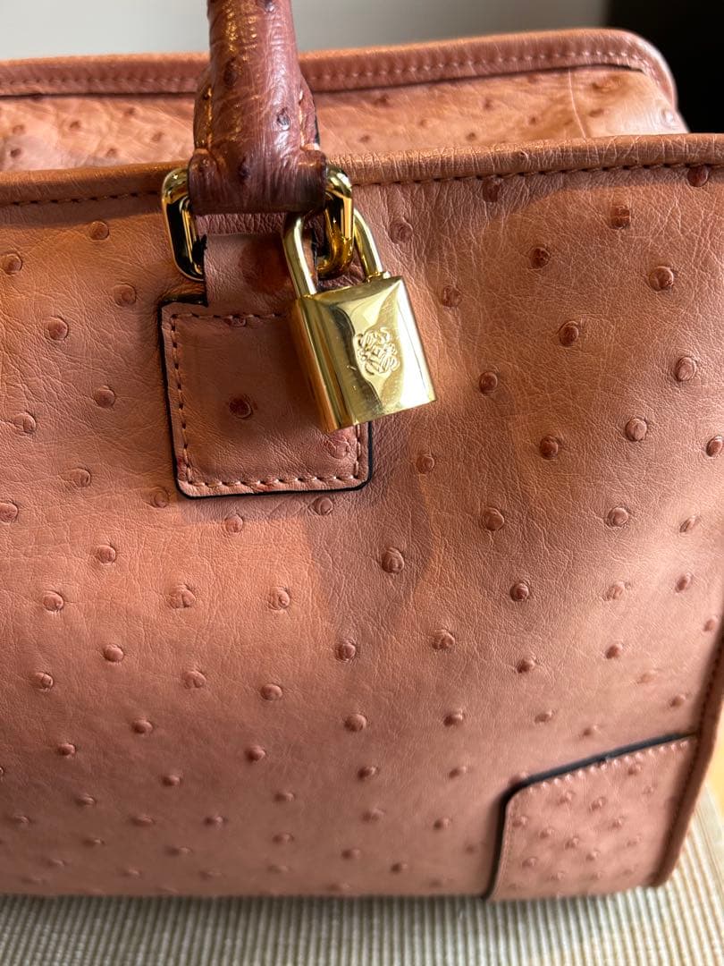 希少　美品　オーダー品　ロエベ　アマソナ36 オーストリッチ　定価200万