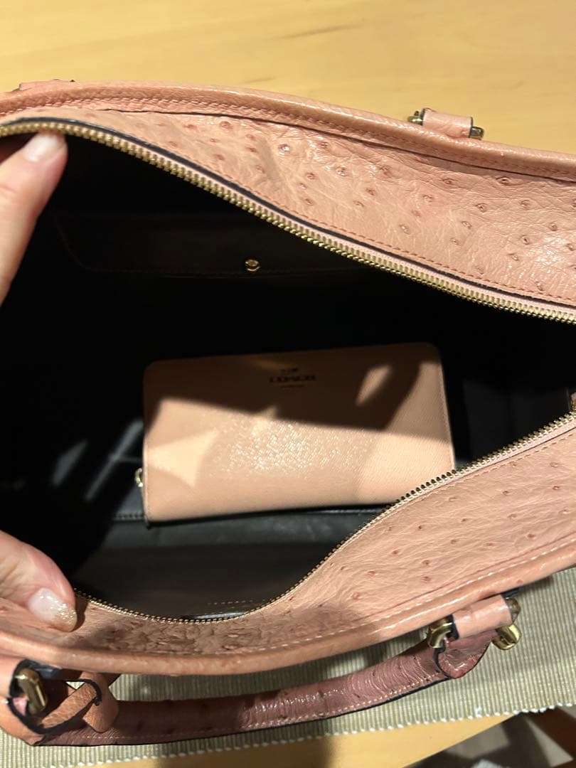 希少　美品　オーダー品　ロエベ　アマソナ36 オーストリッチ　定価200万