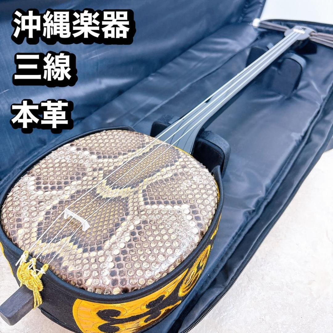 沖縄三線 本蛇革 ケース付き 初心者 入門 蛇皮 本革 ② 沖縄三線 本蛇革 ケース付き 初心者 入門 蛇皮 本革 Amazon.co.jp