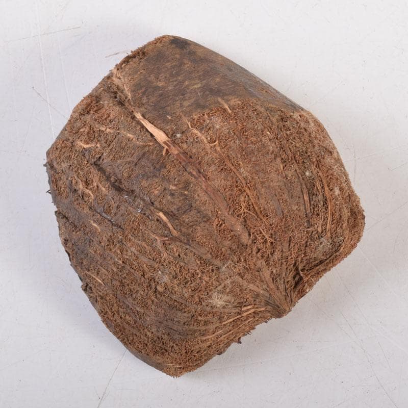 茶道具　木彫　桜　内金溜　香合　時代箱　V　8355