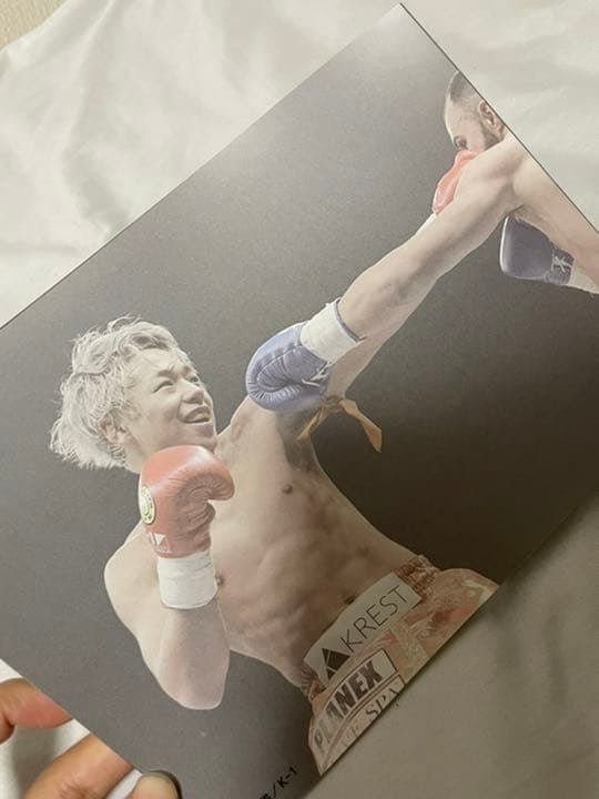 武尊 光と影 フォトブック 非売品 値下げ