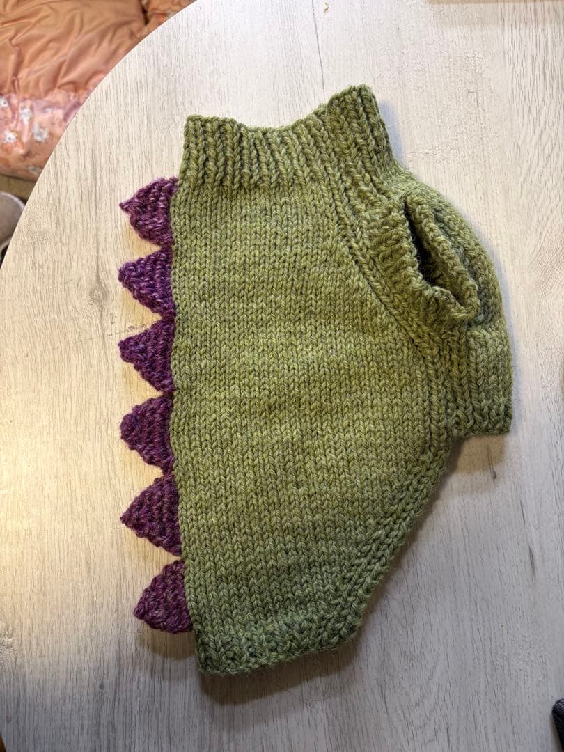 恐竜デザイン 手編みニットハンドメイド amuhibi KNITBOOKに掲載の 恐竜のセーターです。 大人の女の人が 恐竜