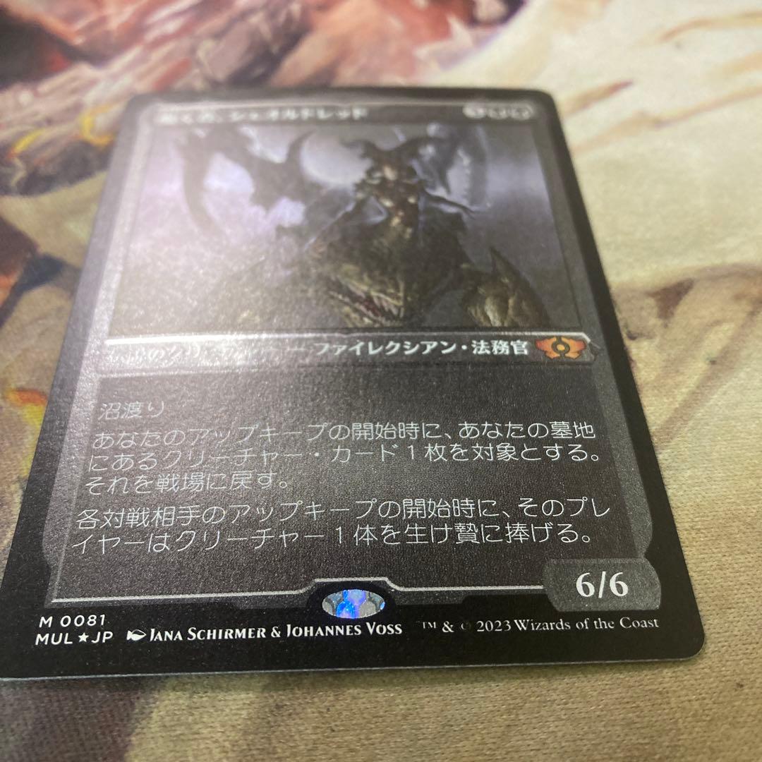 MTG 囁く者、シェオルドレッド　エッチングfoil 日