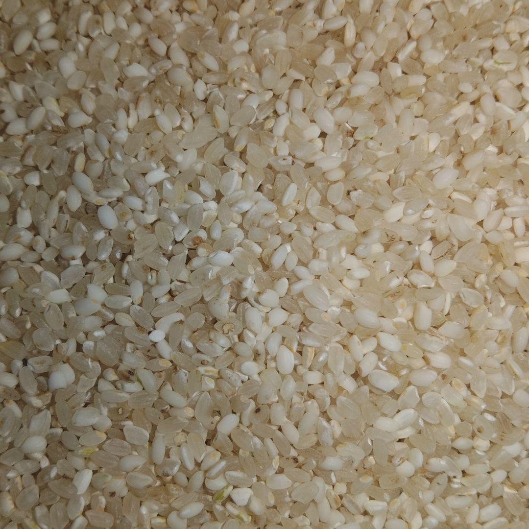 くず米 精米 24kg 【飼料用】 - メルカリ