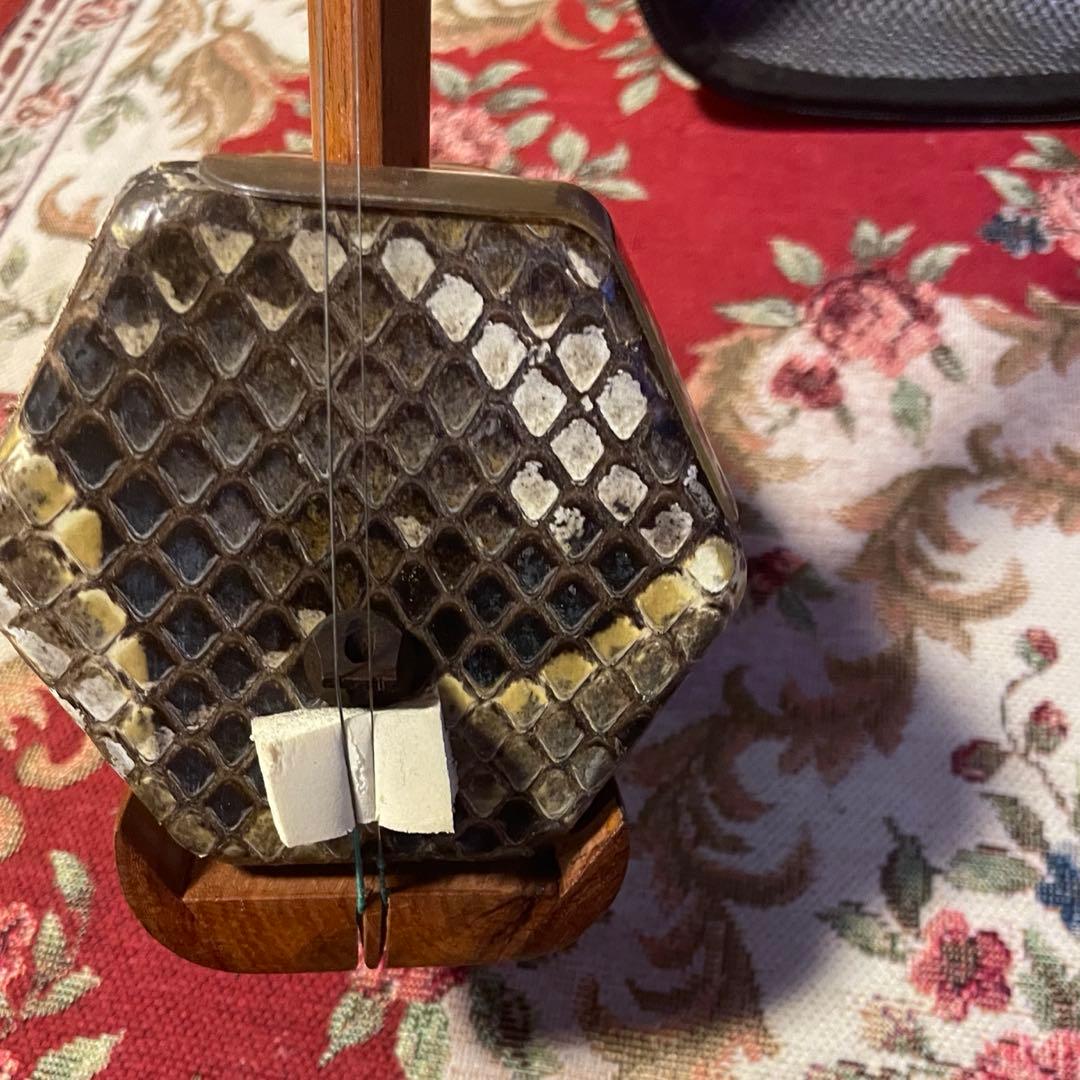 二胡 蛇本革 弓付き ケース付き