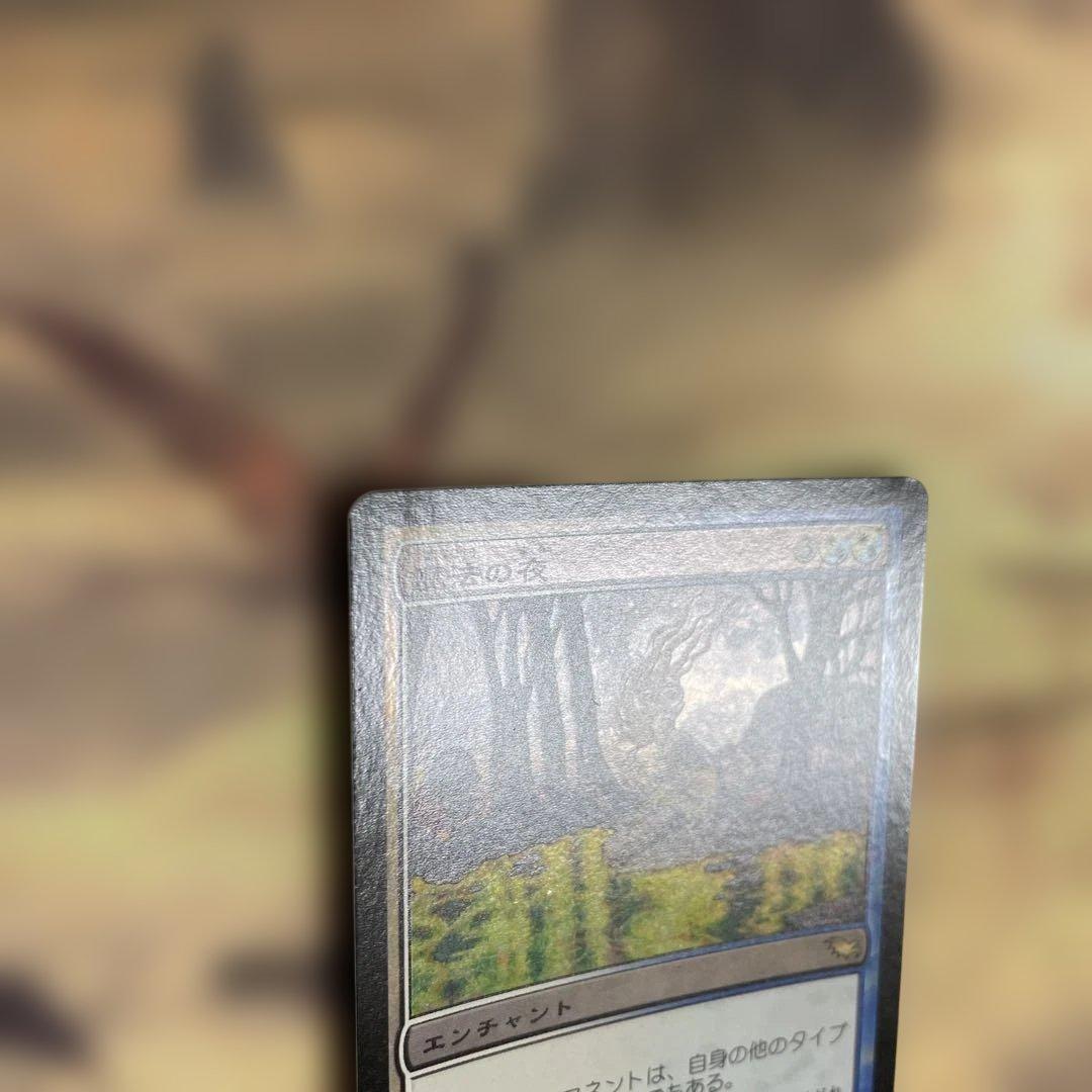 MTG 魔法の夜/Enchanted Evening 日本語 foil