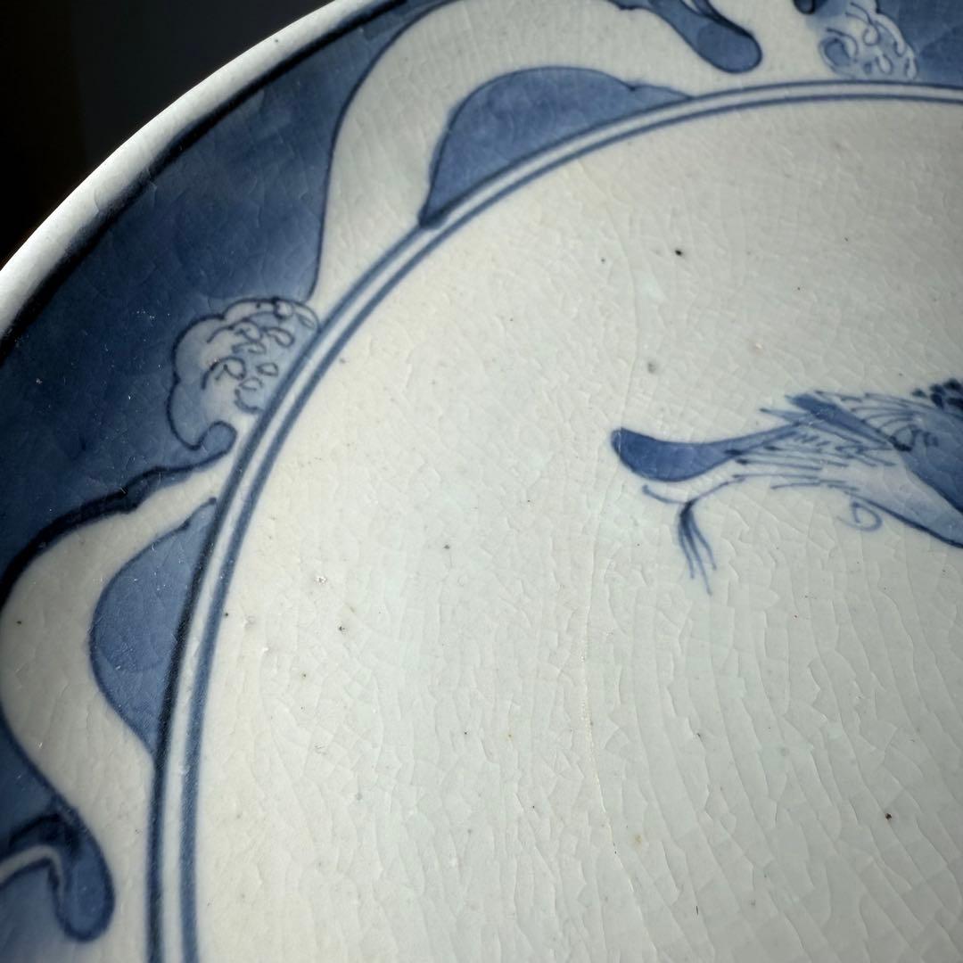 江戸中期　古伊万里　染付鳥蝶図七寸皿　裏唐草　鳥の躍動感！　20.4cm 古美術