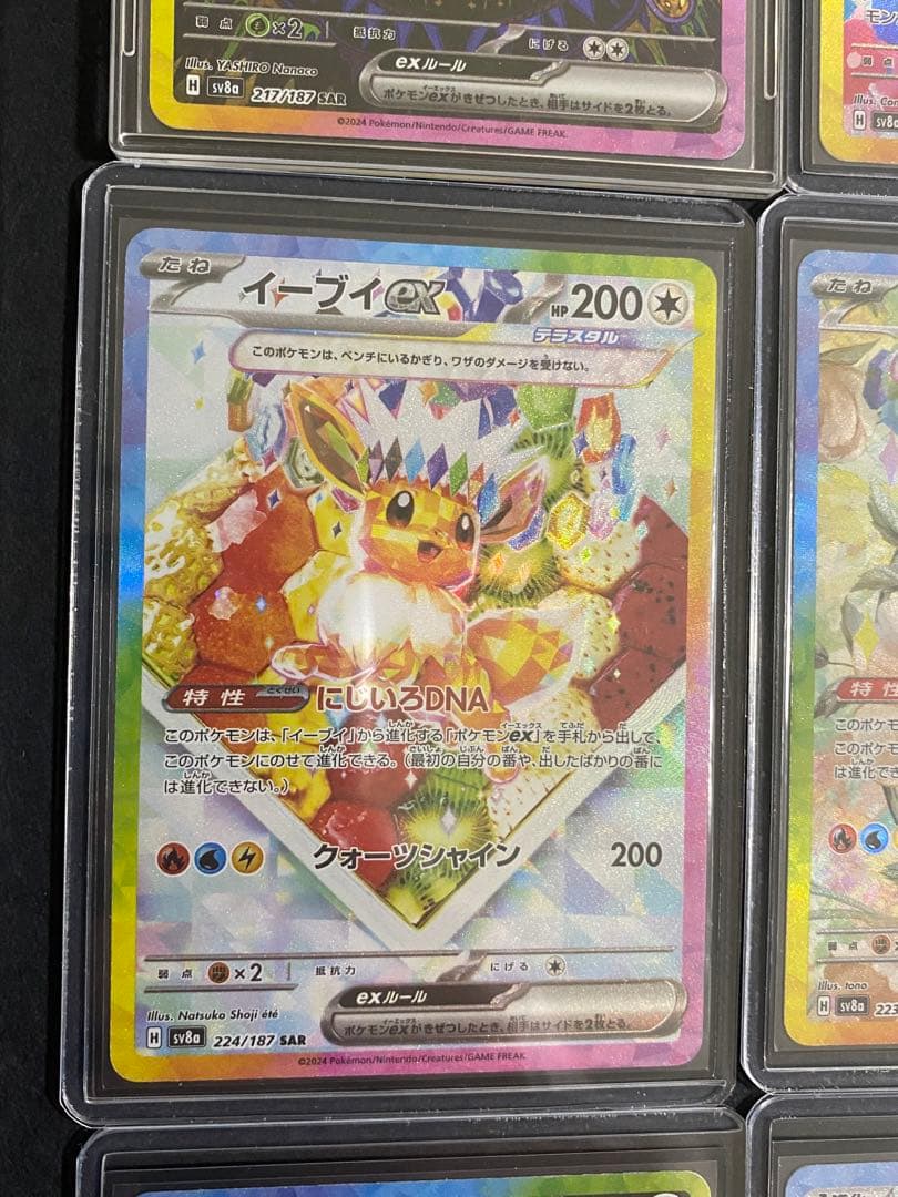 テラフェス　イーブイズex SARまとめ