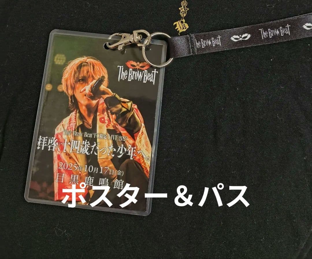 Hi-STANDARD 劇場用非売品ポスター 2025年最新】ハイスタ ポスターの