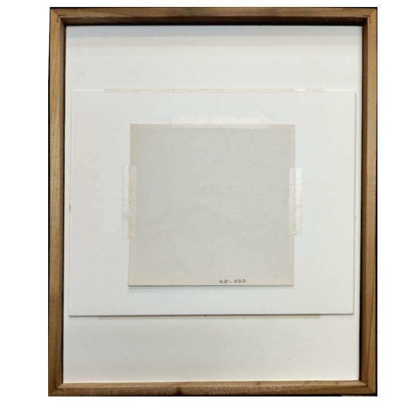 ☆坂本直行☆「カエデ」筆書き　八ツサイズ　未使用！