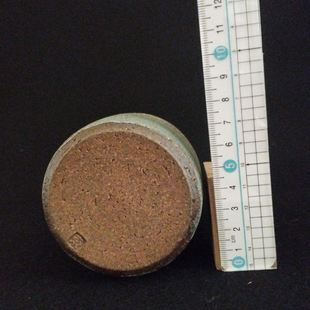 人気作家 伊藤東彦 布目徳利