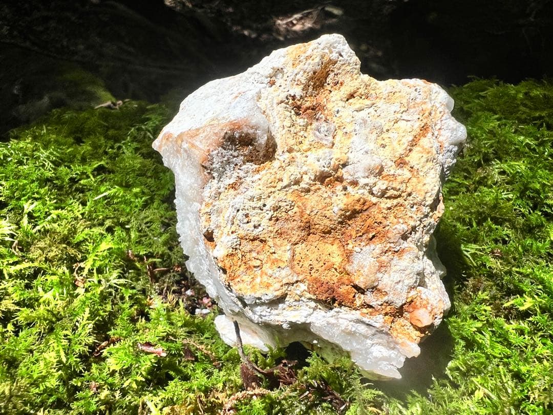 龍脈の精髄 水晶 魂を導く結晶の花 売上一部保護猫活動