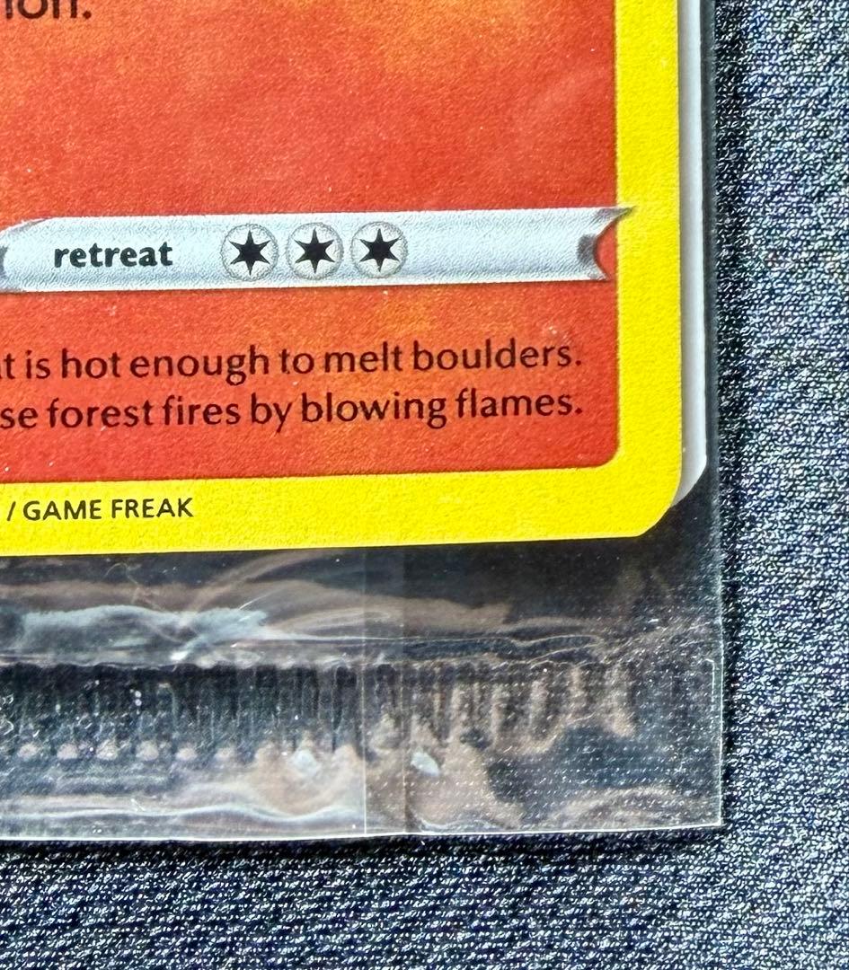 未開封 スペシャルデリバリー リザードン ピカチュウ 海外 英語