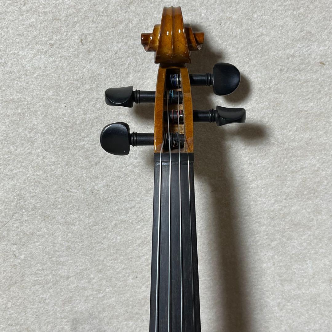 Carlo giordano エレキバイオリン EV-202 カルロジョルダーノ