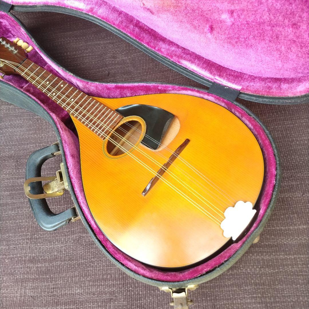 フラットマンドリン マーチン1970年代 要ピックガード交換、