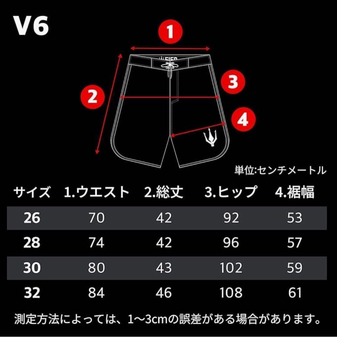 FIED ファイド サーフパンツ 水着 サイズSホワイト ストライプ フィジーク
