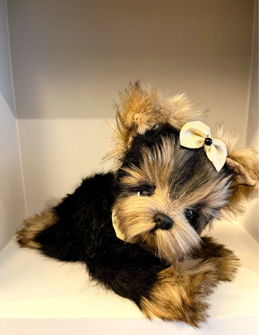 海外作家様　ミニチュアシュナウザー　犬　ぬいぐるみ　teddy bear DOG 格安】海外作家シュナウザーぬいぐるみドール犬