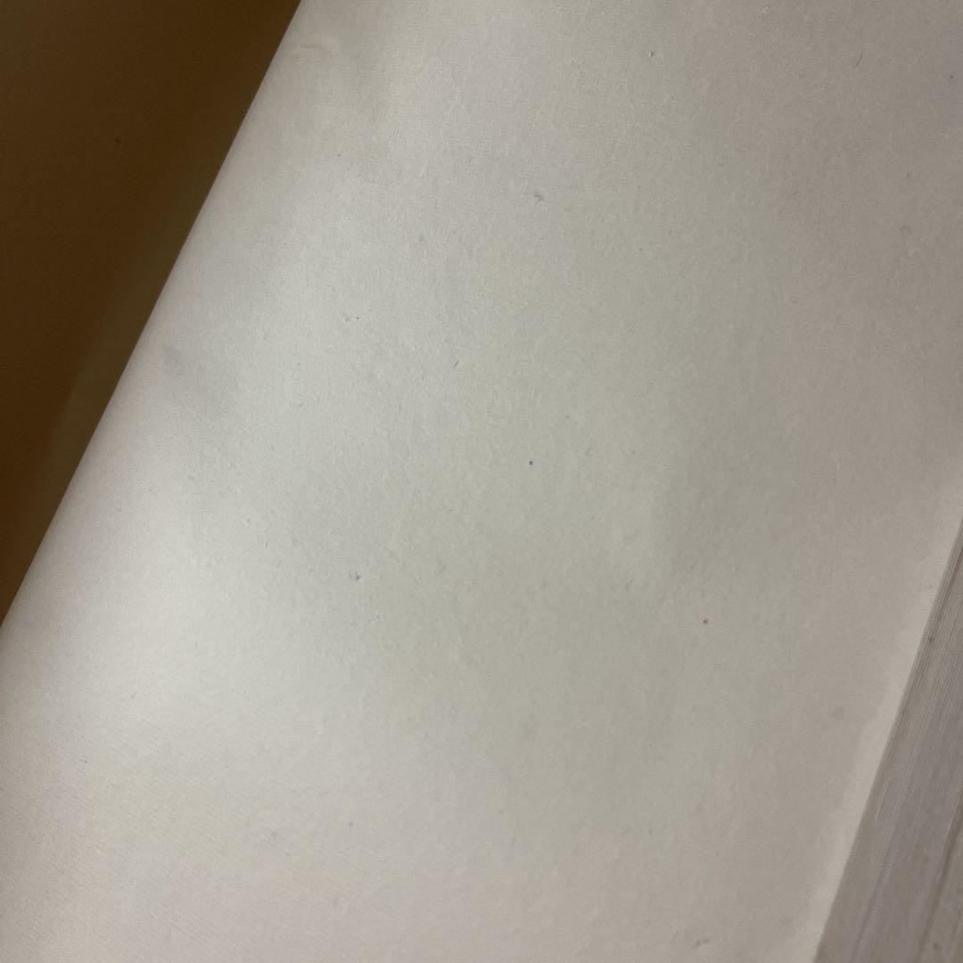 蘭亭牌 四尺単宣100枚4反 お値下げ中