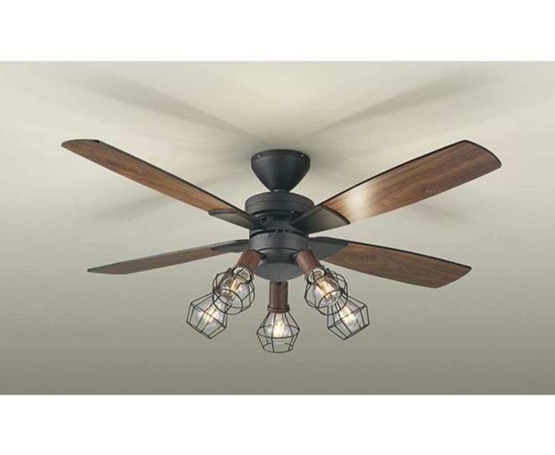 未使用】DAIKO シーリングファンライト ASL-501SE 未使用】DAIKO