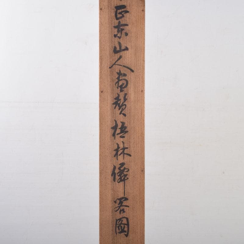 掛軸 田能村正東山人画賛 山水人物漢詩図 共箱 C 8679A