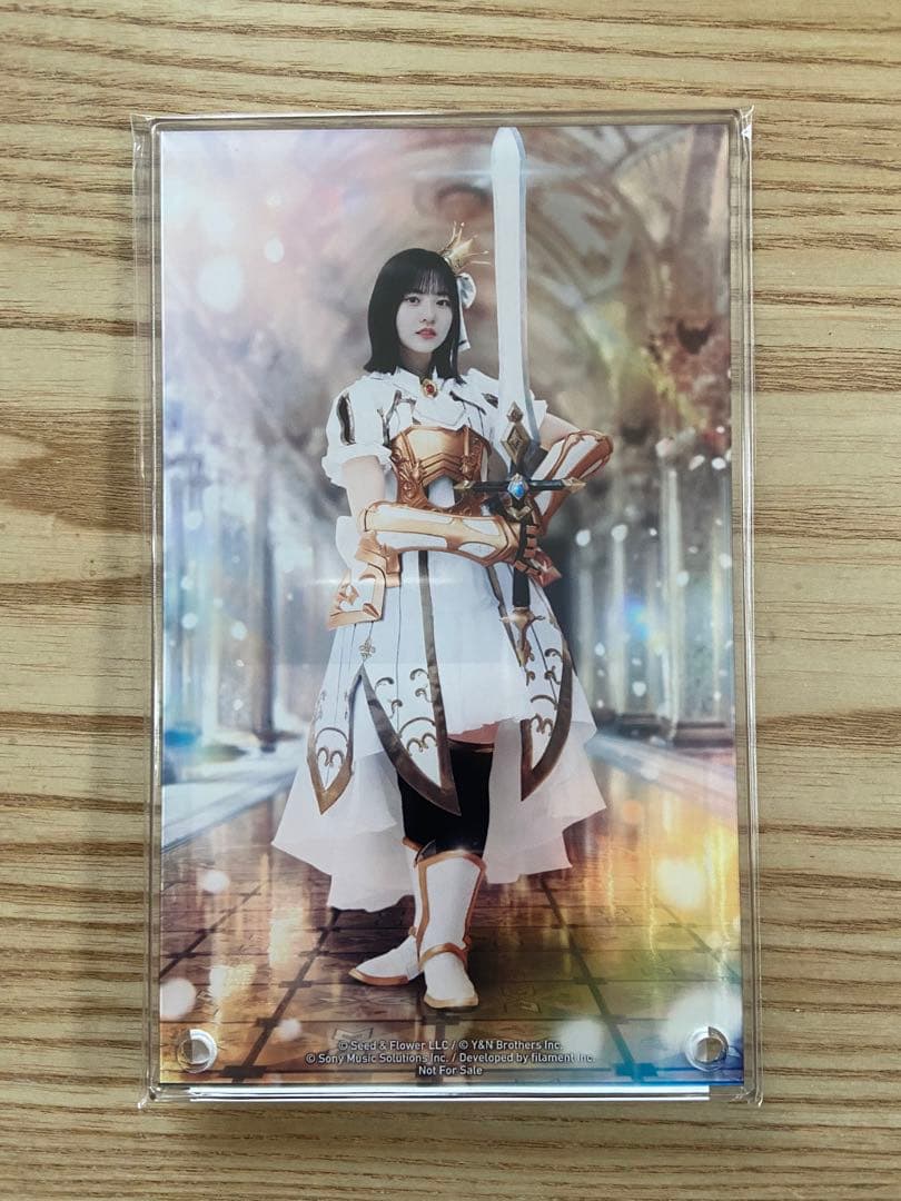 ひな図書正源司陽子直筆サイン入りアクリルアートパネル