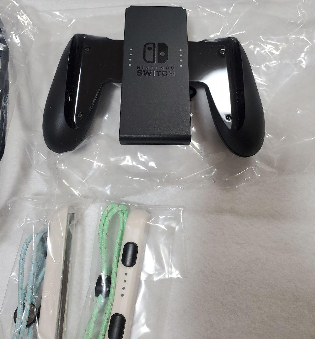 あつまれ どうぶつの森セット Nintendo Switch　ケース付き
